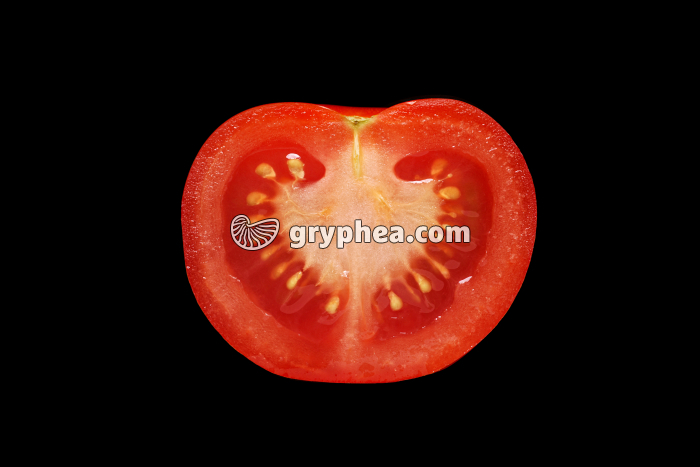 Tomate CL (Solanum lycopersicum) - gryphea.com